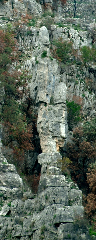 Sculture naturali